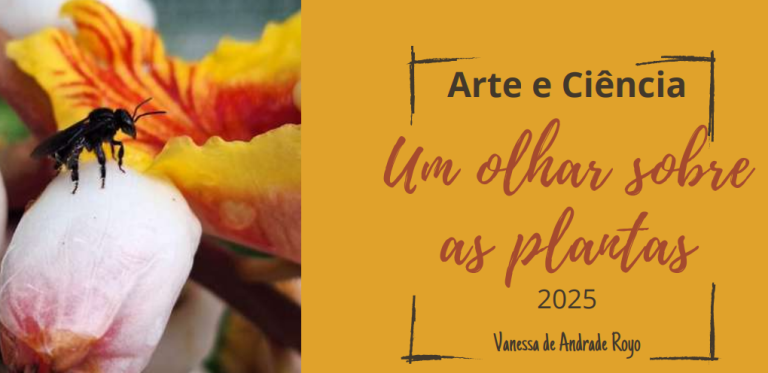 E-book do VI Concurso fotográfico “Um olhar sobre as plantas – Polinizarte — Cultive a Vida, Proteja os Polinizadores”