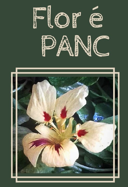 Capa do livro Flor é PANC