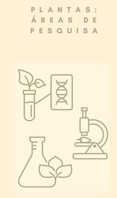 Capa do livro Plantas: Áreas de Pesquisa